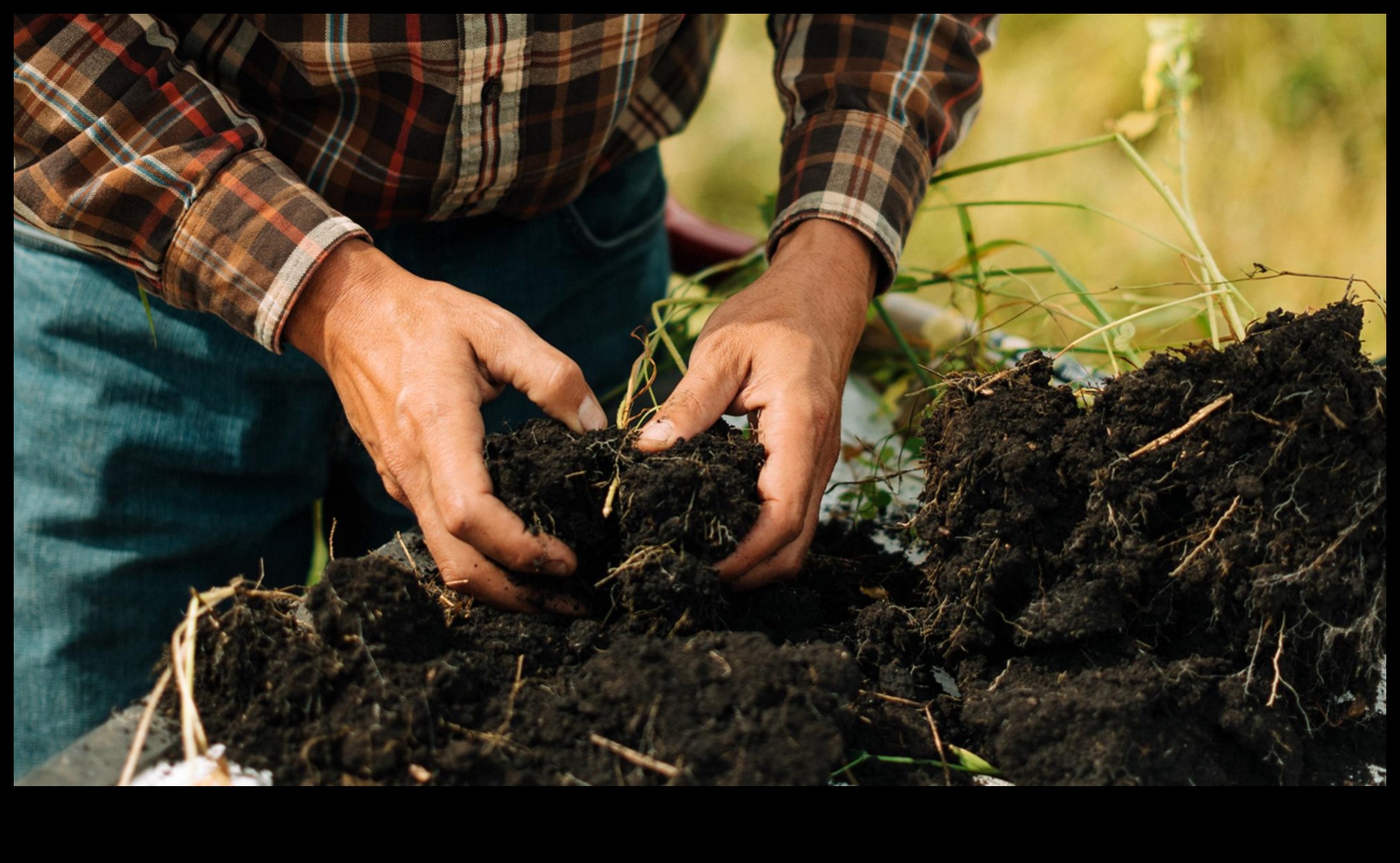 Nourishing Nature: Exploring the Magic of Organic Gardening