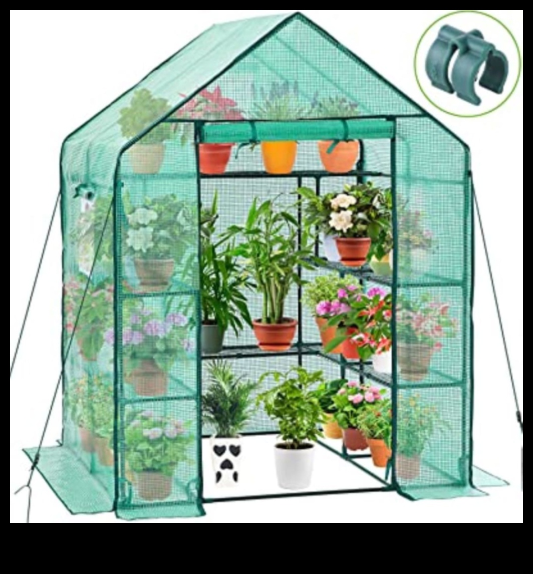 Nurture Nature: Step Inside Our Greenhouse Haven
