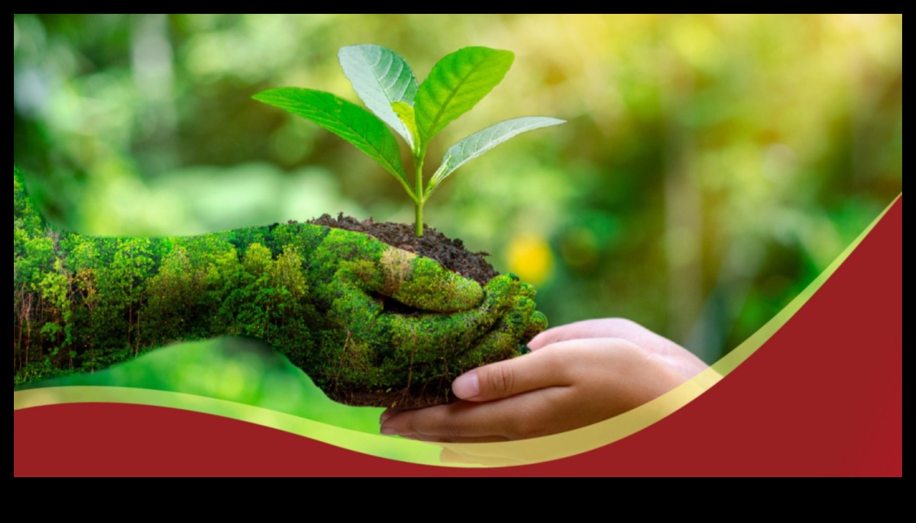 Nurturing Nature: Embracing Horticulture's Gifts