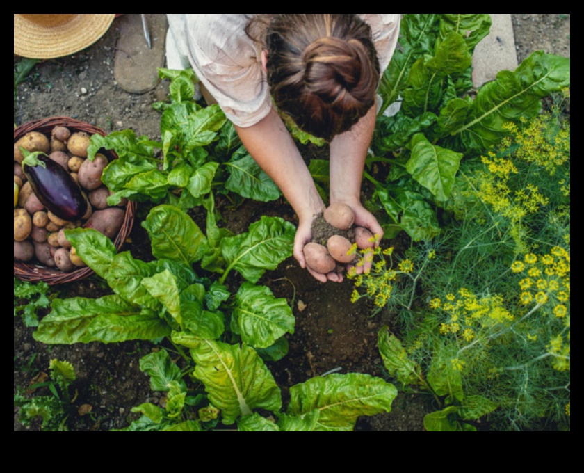 Nurturing Nature: Embracing Horticulture's Gifts