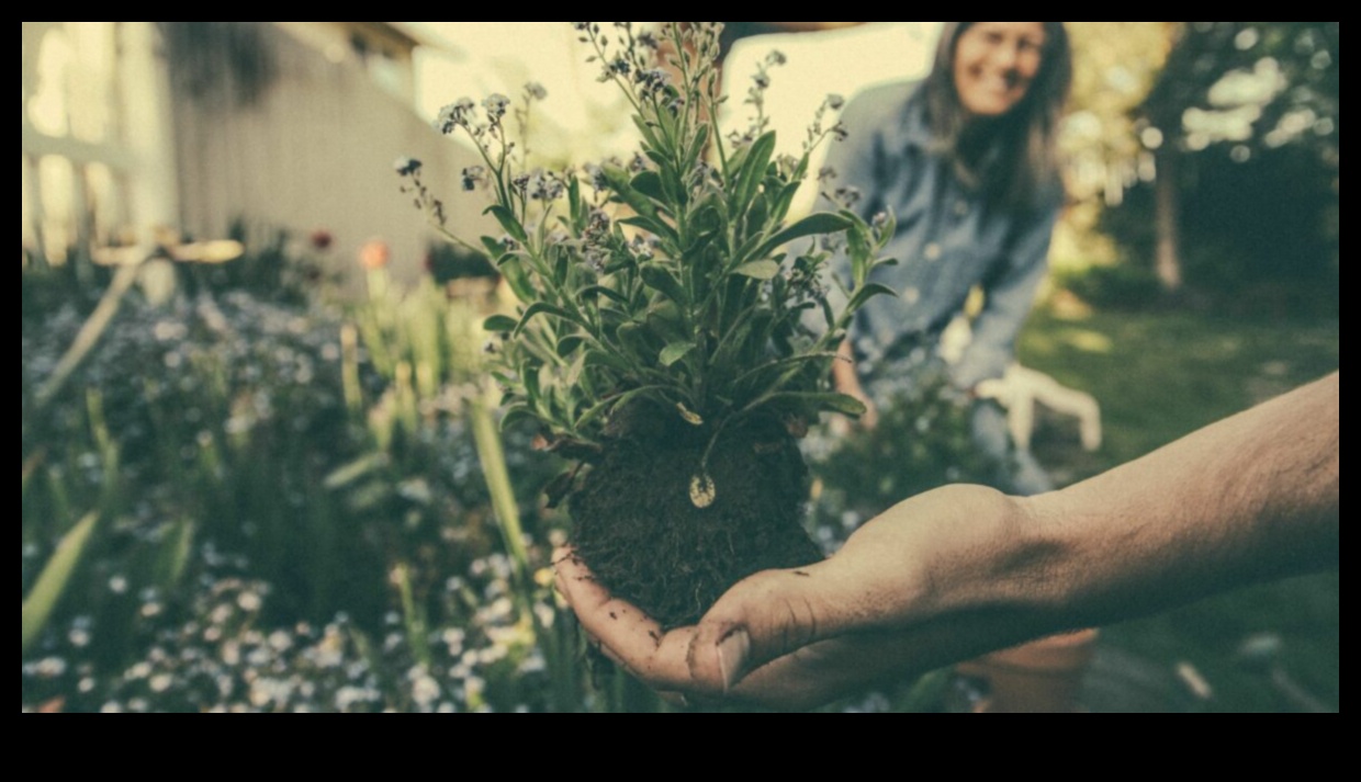 Nurturing Nature The Heartbeat of Effective Garden Maintenance 1 Nurturing Nature: The Heartbeat of Effective Garden Maintenance