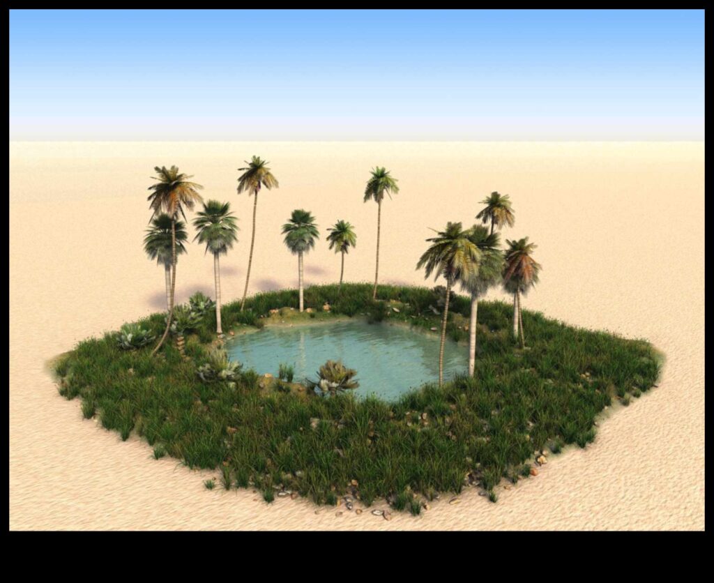 Oasis An Oasis in the Desert 1