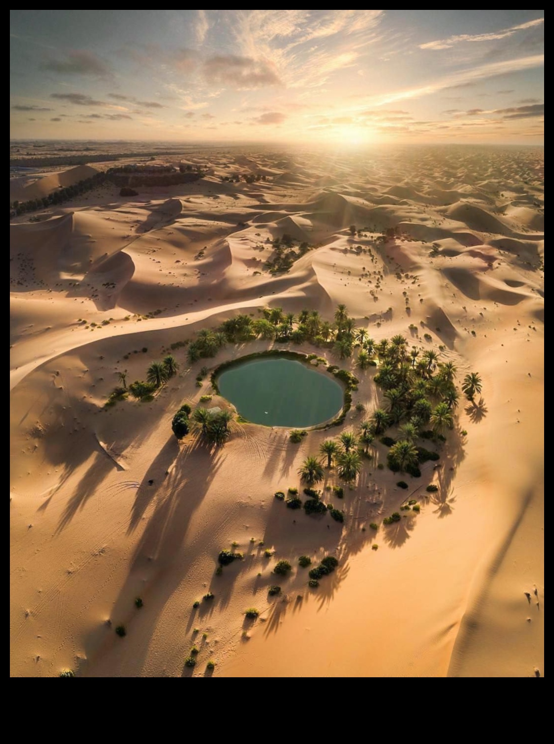 Desert Mirages: Illusions in Arid Landscapes