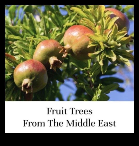 Orchards in Bloom: Blossoming Fruit Trees in Rural Landscapes