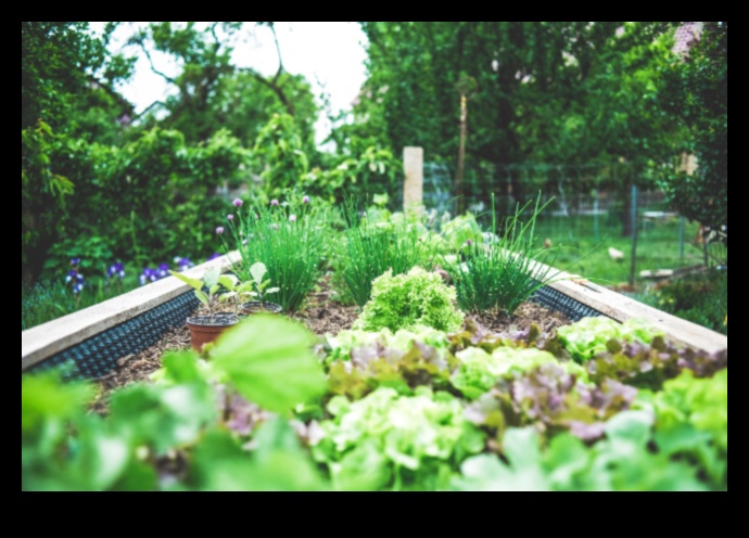 Organic Oasis Grow Your Own Health in Your Backyard 1