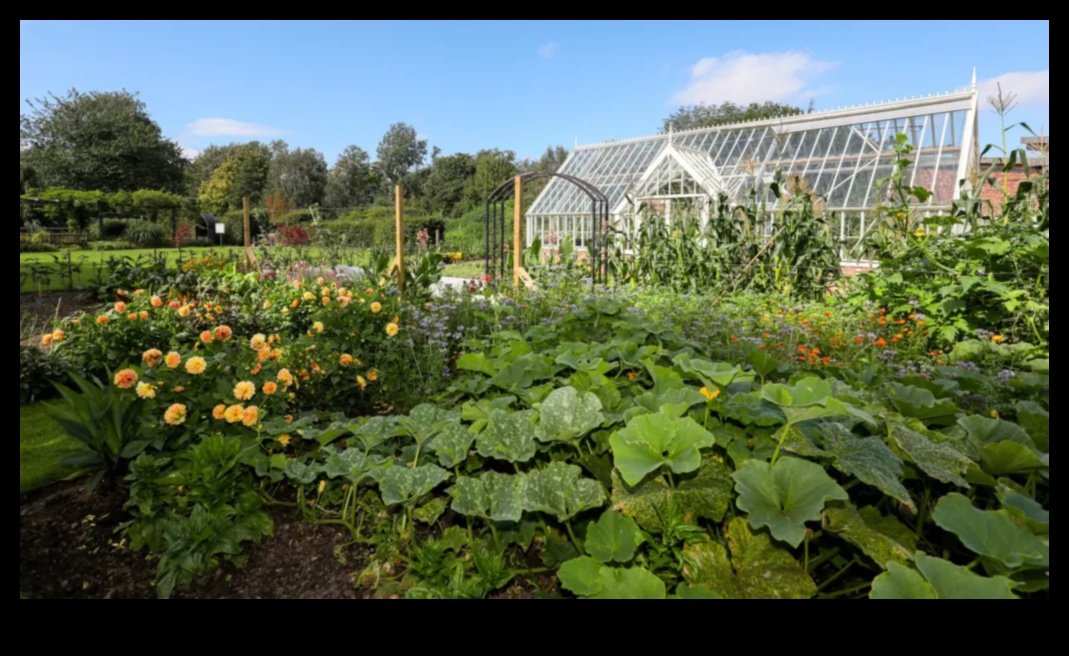 Organic Oasis: Cultivating Health in Your Garden Sanctuary