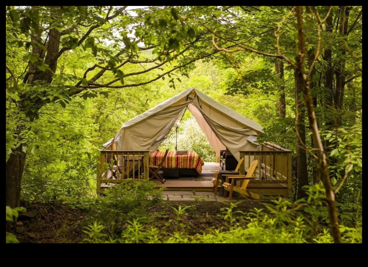 Outdoor Opulence: Unlock the Potential with Premium Equipment