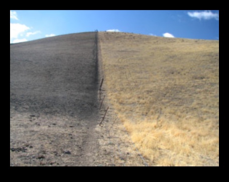 Overgrazing A Landscape Degradation 1