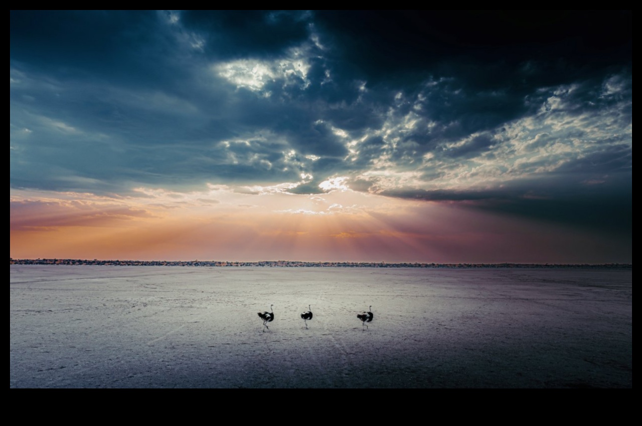 Panoramic Bliss: Sweeping Landscapes in Every Frame