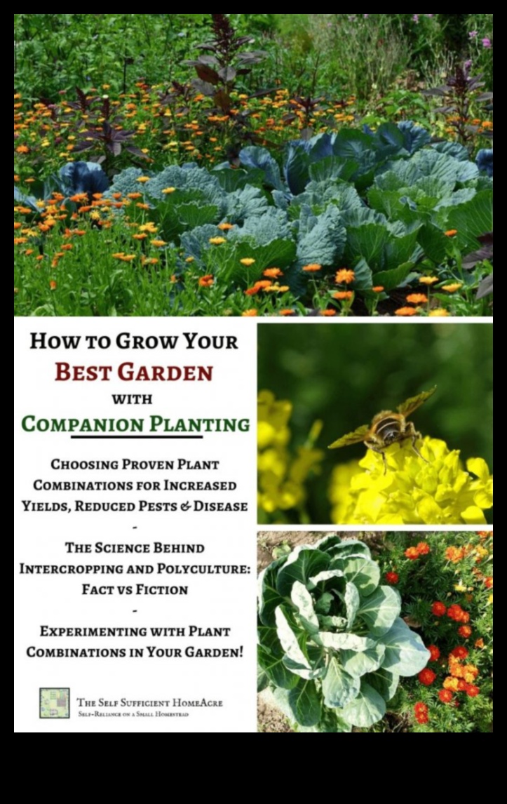 Partnered Perfection: Navigating Companion Planting Mastery