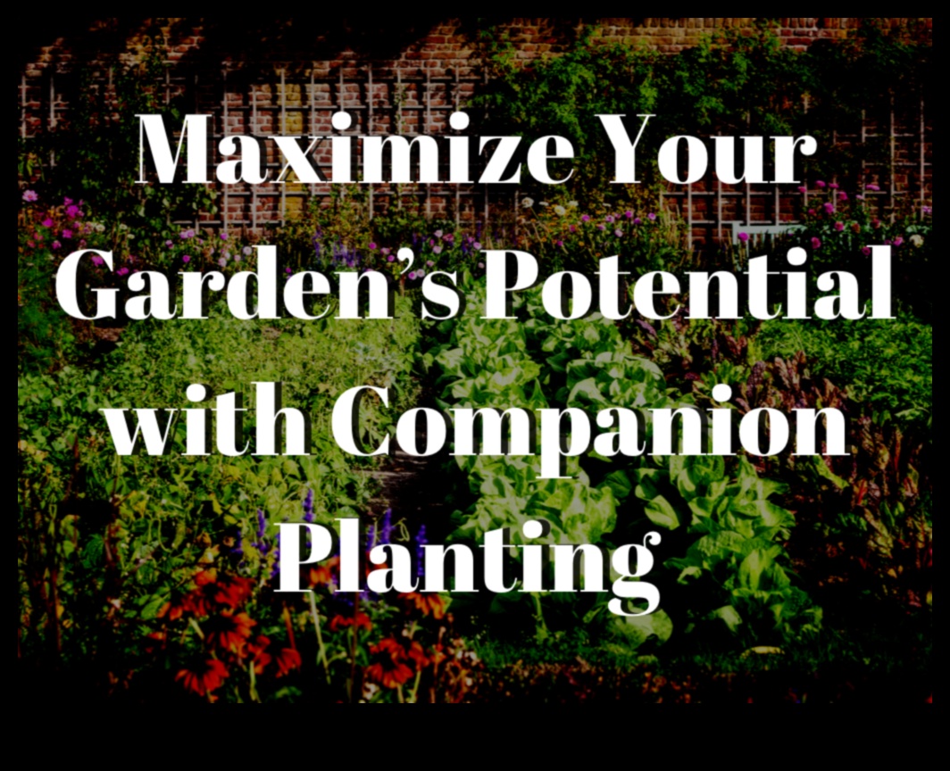 Partnered Perfection: Navigating Companion Planting Mastery
