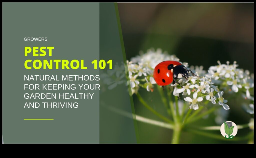 Pest Control Mastery How to Keep Your Blooming Haven Pest-Free 1