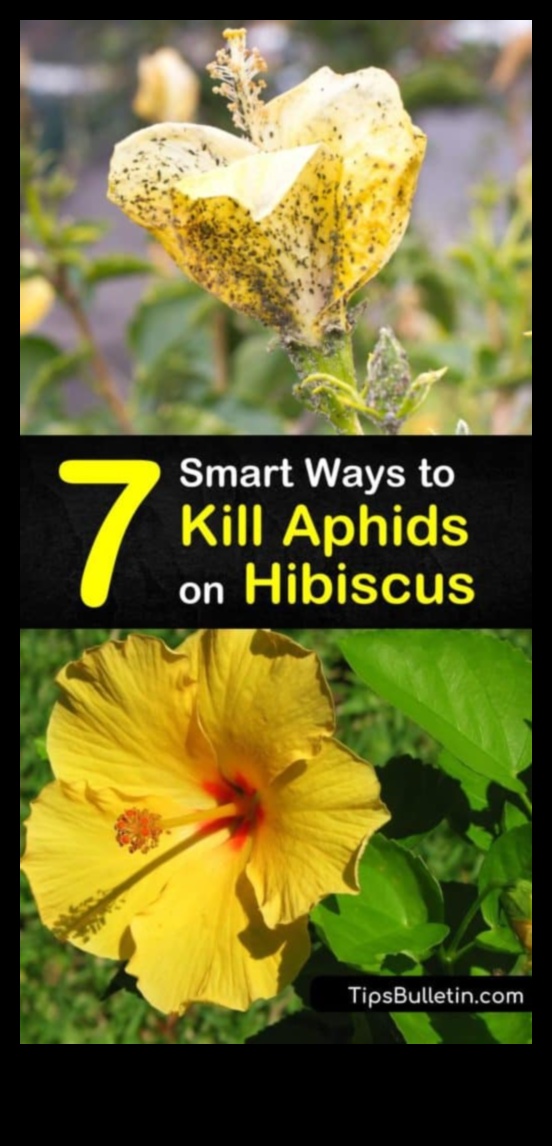 Pest Control Mastery: Securing Your Blooming Haven