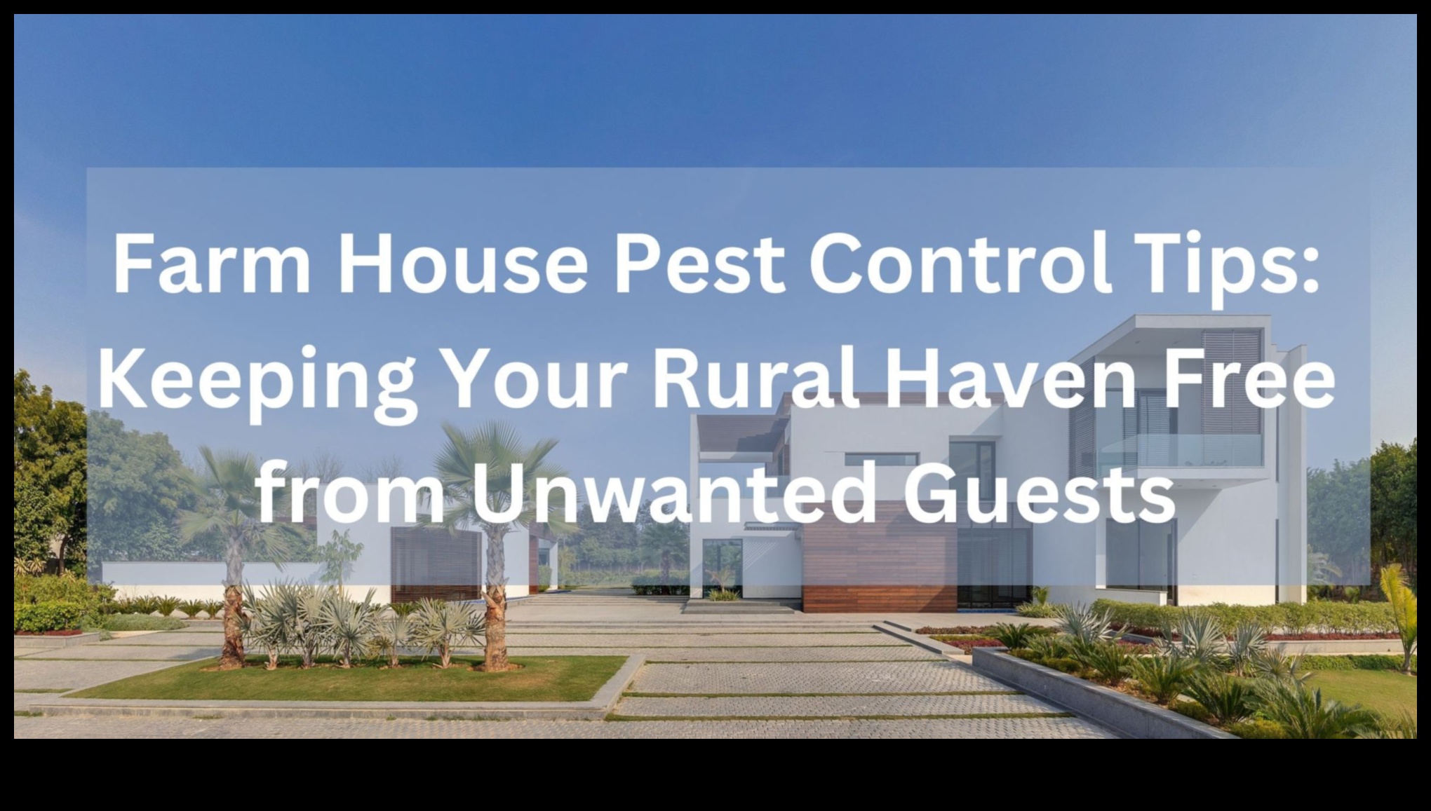 Pest Control Mastery: Securing Your Blooming Haven