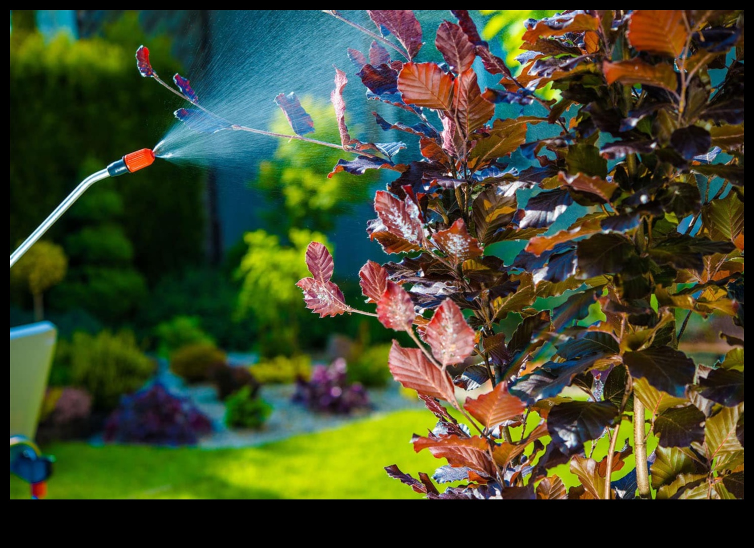 Pest-Free Utopia: Guarding Your Green Oasis