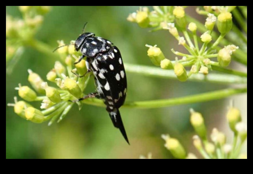 Pest-Free Utopia: Guarding Your Green Oasis