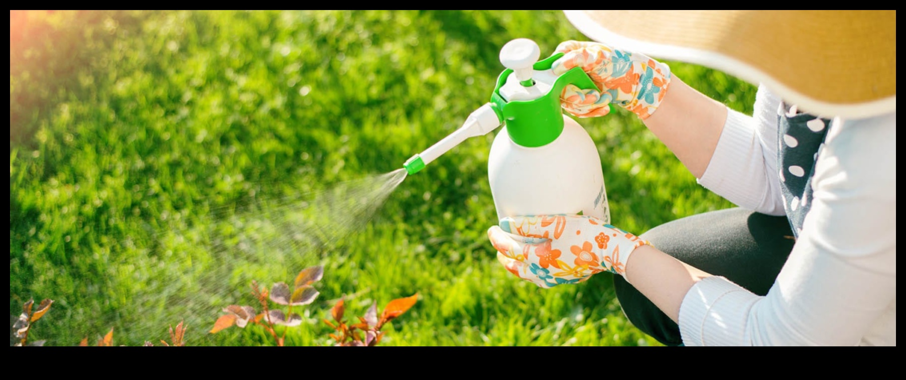 Pest Patrol: Keeping Your Garden Safe and Sound