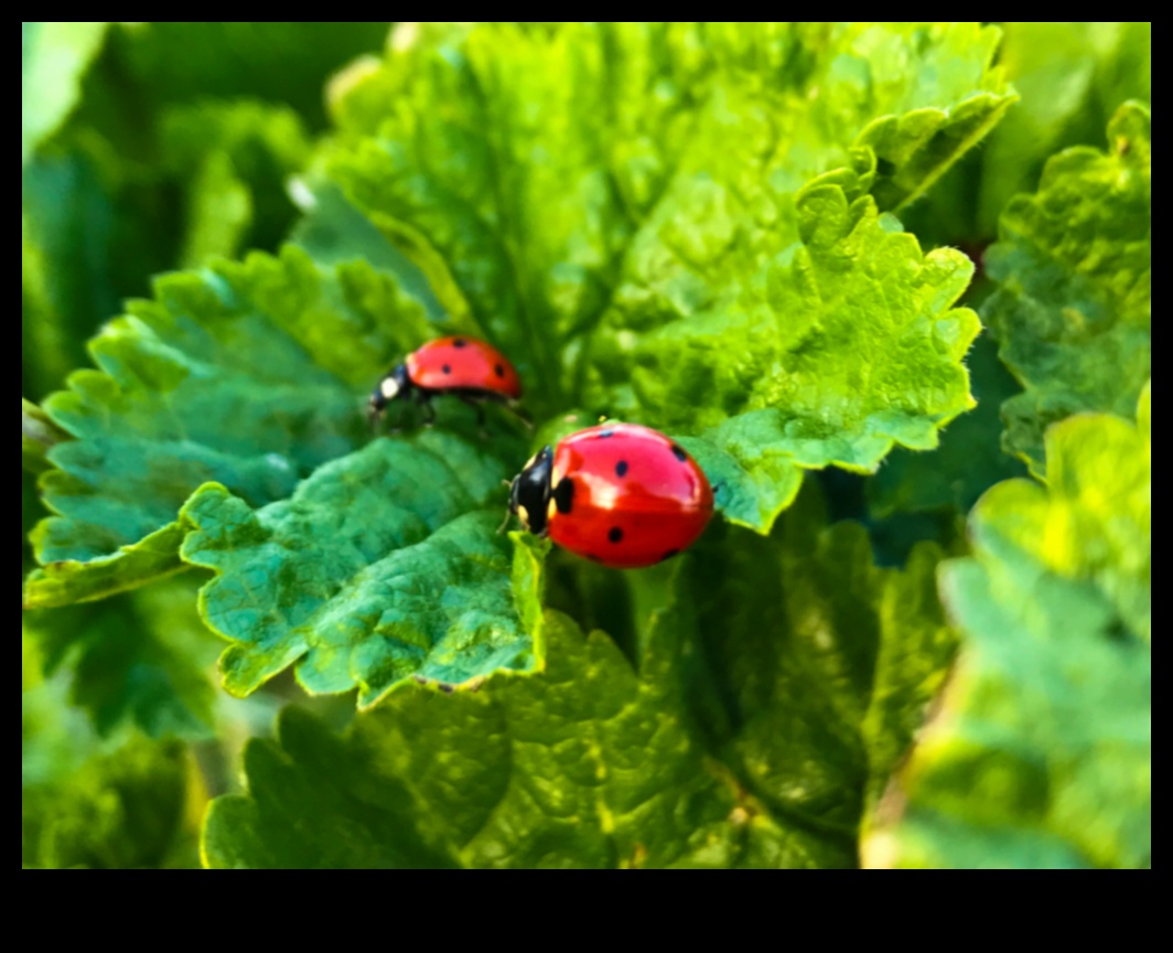 Pest Patrol: Keeping Your Garden Safe and Sound