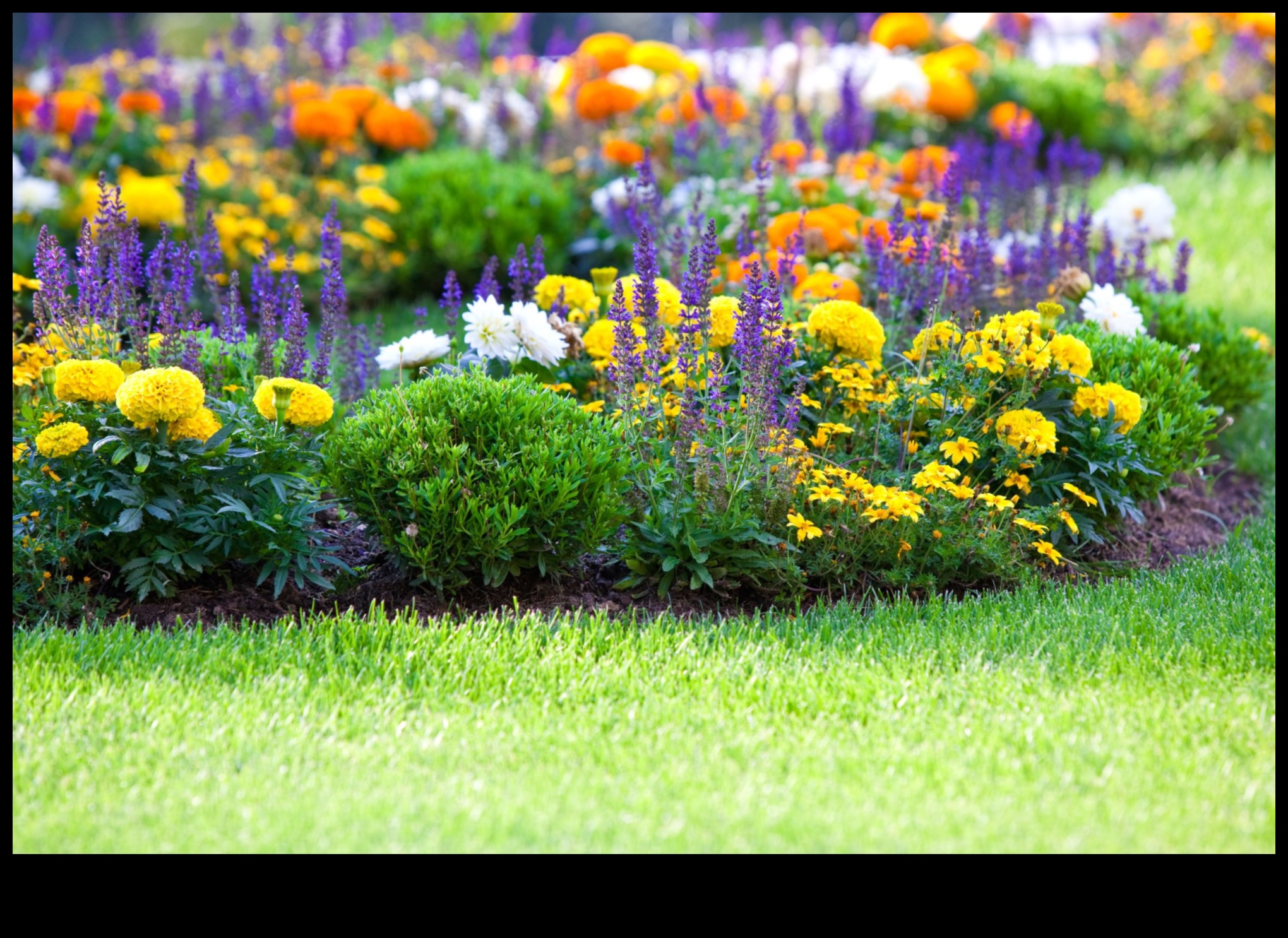 Pest-Proof Paradise: Fortifying Your Flourishing Garden