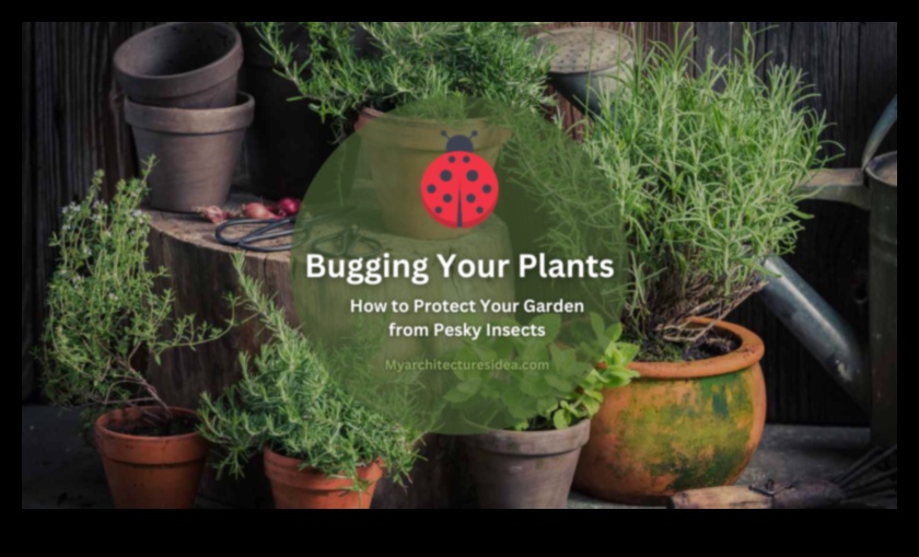 Pest-Proof Paradise: Fortifying Your Flourishing Garden