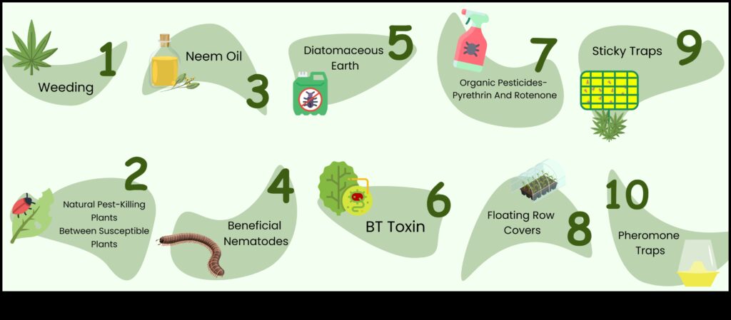 Pest-Proof Paradise How to Keep Your Greens Safe from Harmful Pests 1