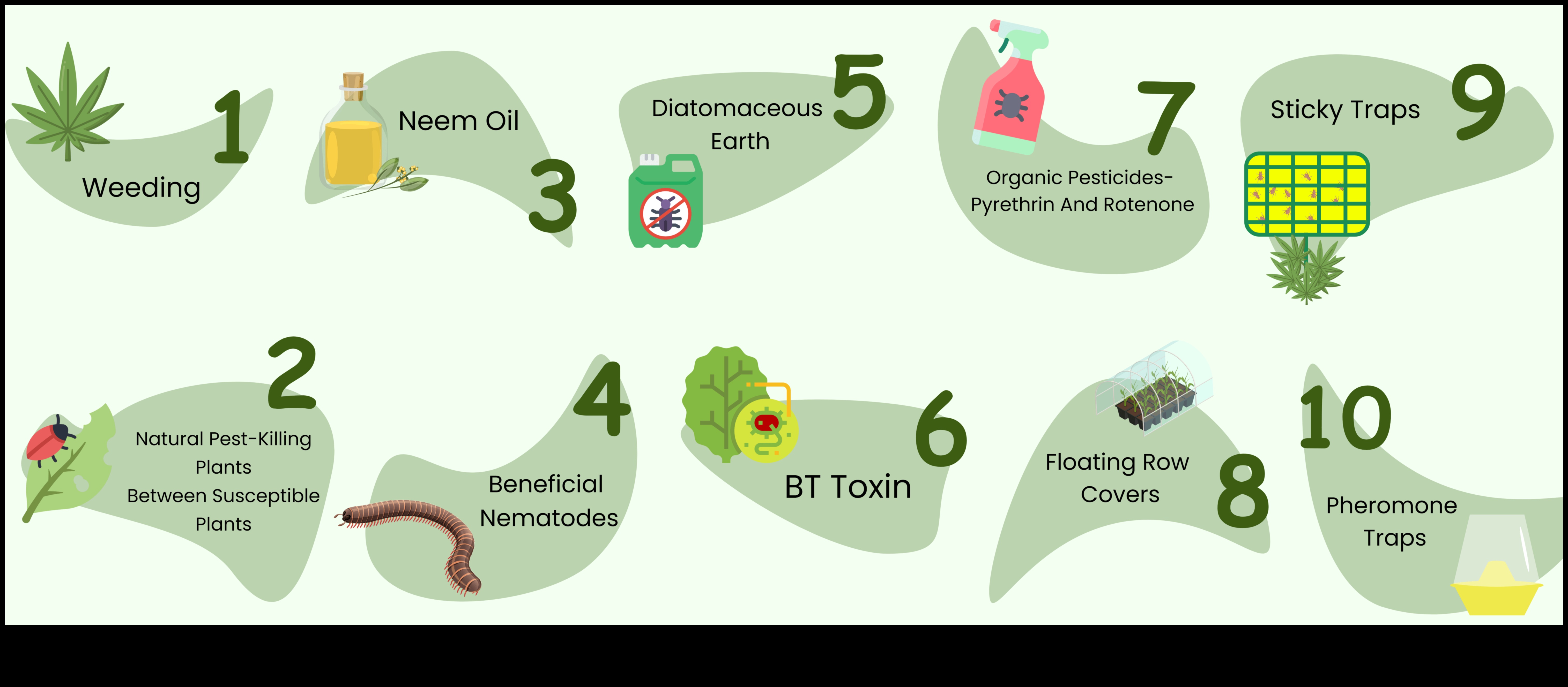 Pest-Proof Paradise: Guarding Your Greens with Expertise