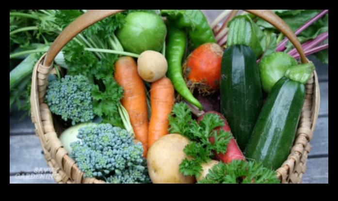 Pest-Proof Strategies How to Safeguard Your Blooming Garden 1