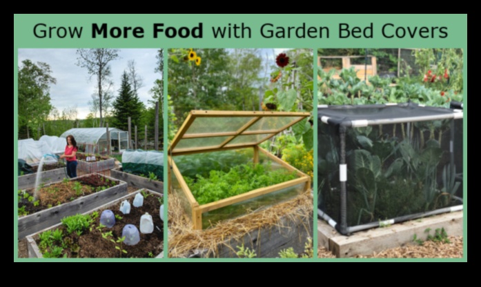 Pest-Proof Strategies How to Safeguard Your Blooming Garden 2 Pest-Proof Strategies: Safeguard Your Blooming Garden