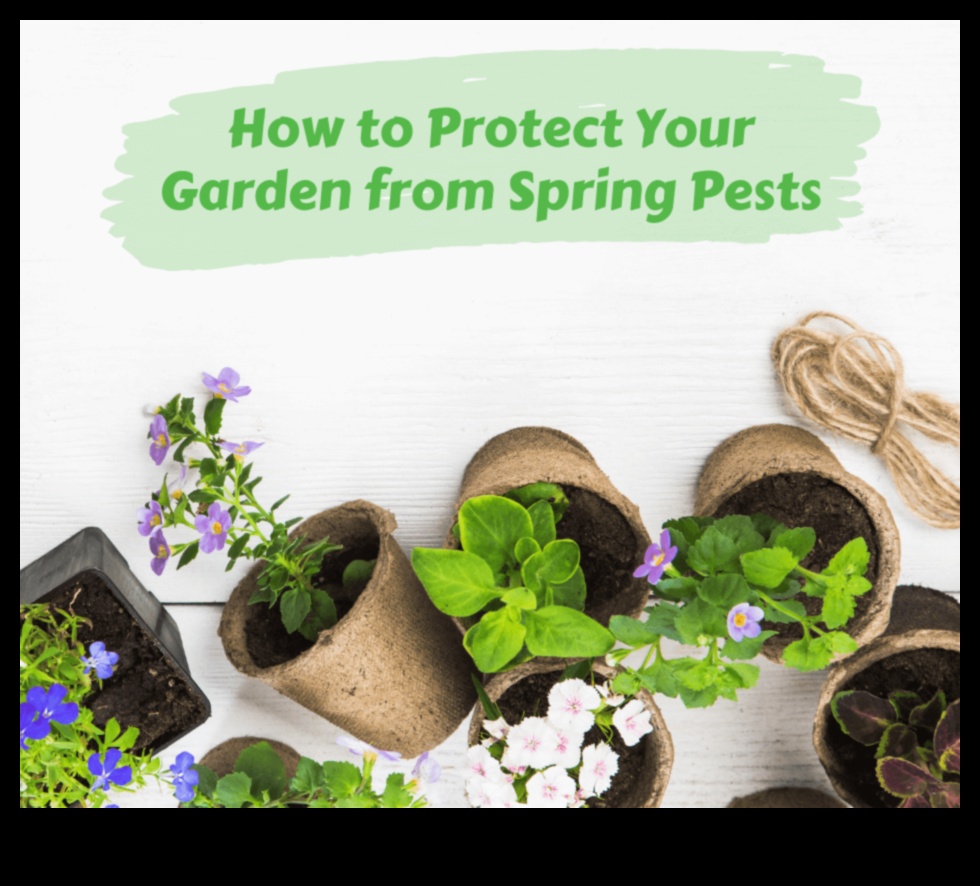 Pest-Proof Strategies How to Safeguard Your Blooming Garden 4 Pest-Proof Strategies: Safeguard Your Blooming Garden