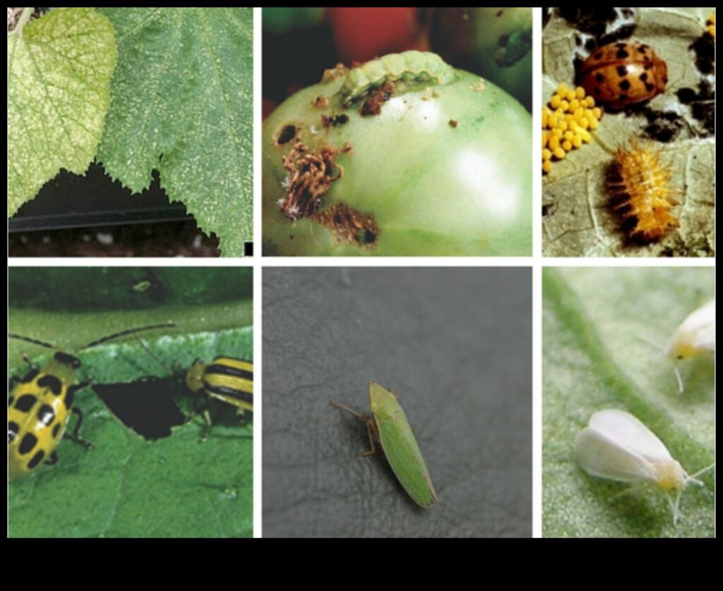 Pest-Proof Your Paradise A Gardener's Guide to a Healthy, Insect-Free Garden 1