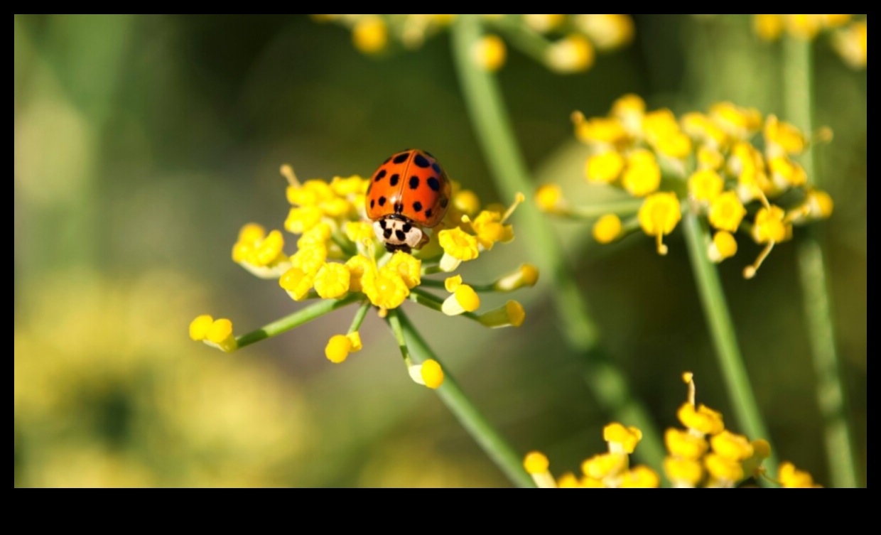 Pest Warfare: Strategies for a Pest-Resistant Oasis