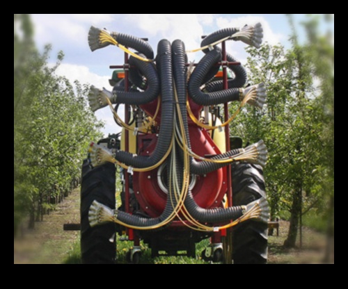 Pest Warfare: Strategies for a Pest-Resistant Oasis