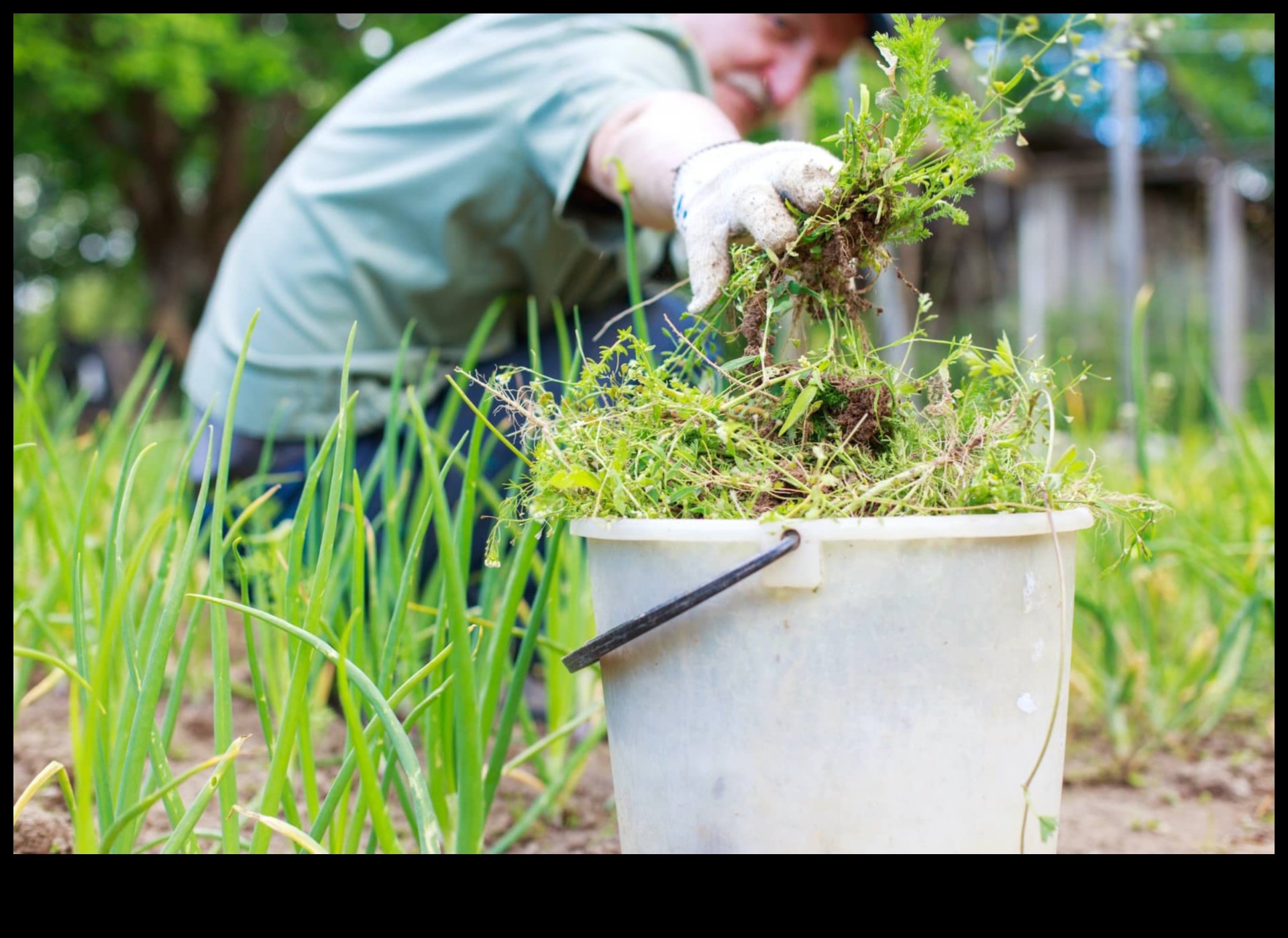Pest Warfare How to Win the Battle for a Beautiful, Pest-Free Garden 2 Pest Warfare: Strategies for a Blossoming Pest-Free Garden