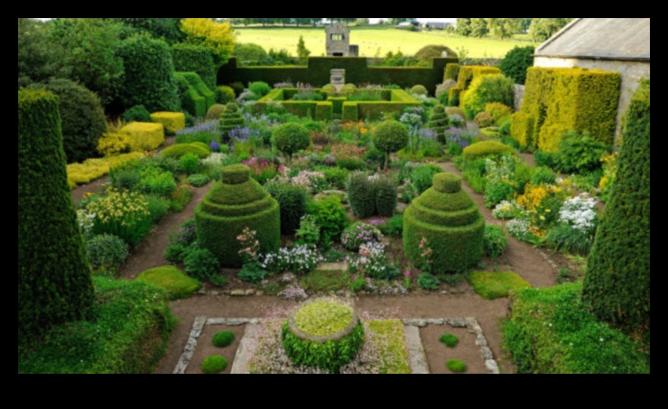 Petals and Progress A Journey in Thoughtful Garden Care 1