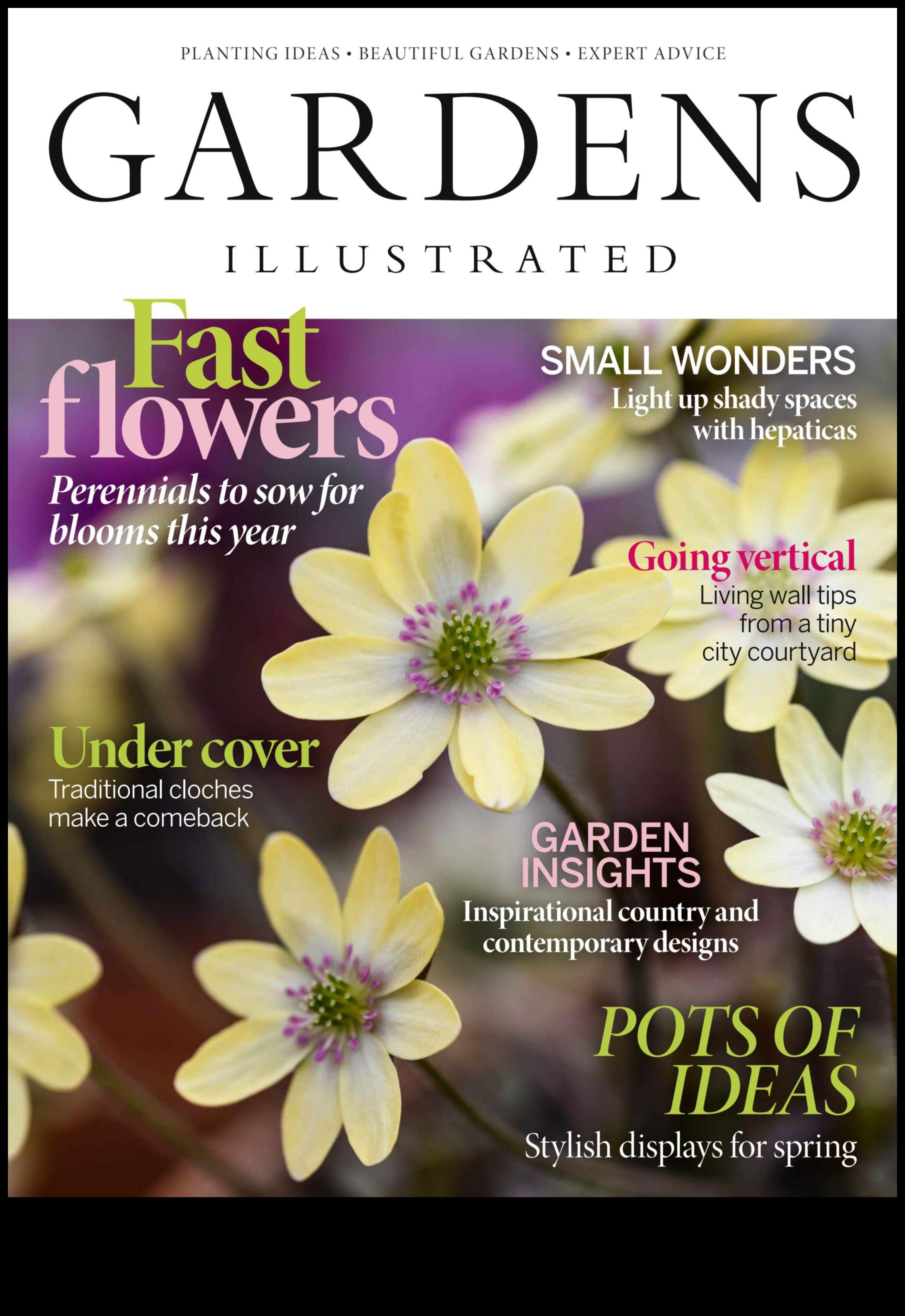 Petals and Progress: A Journey in Thoughtful Garden Care