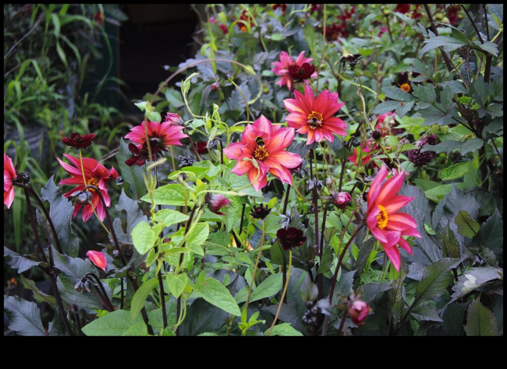 Petals and Progress A Seasonal Guide to Garden Care 1