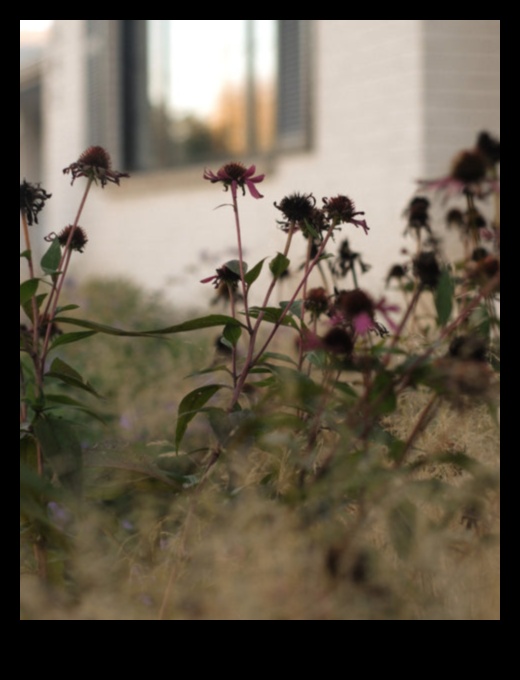 Petals and Progress: Navigating the Seasons with Garden Maintenance