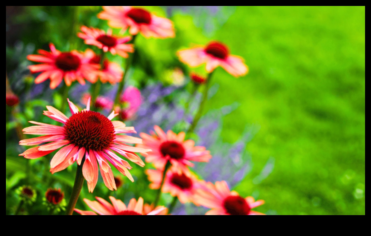 Petals and Progress: Navigating the Seasons with Garden Maintenance