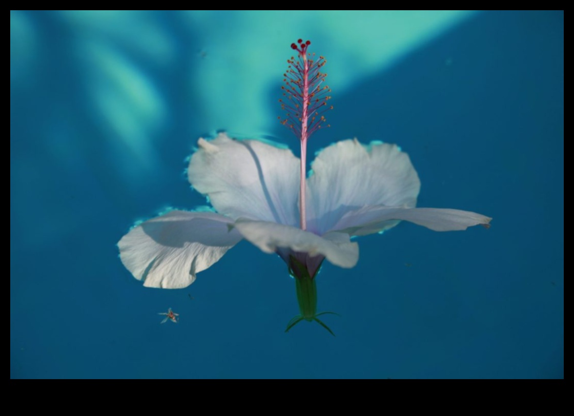 Petals of Possibility: Horticulture's Infinite Beauty