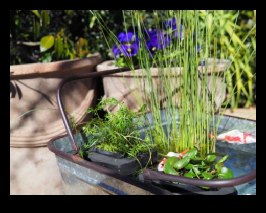 Petite Paradises: Small-Space Wonders with Container Gardening