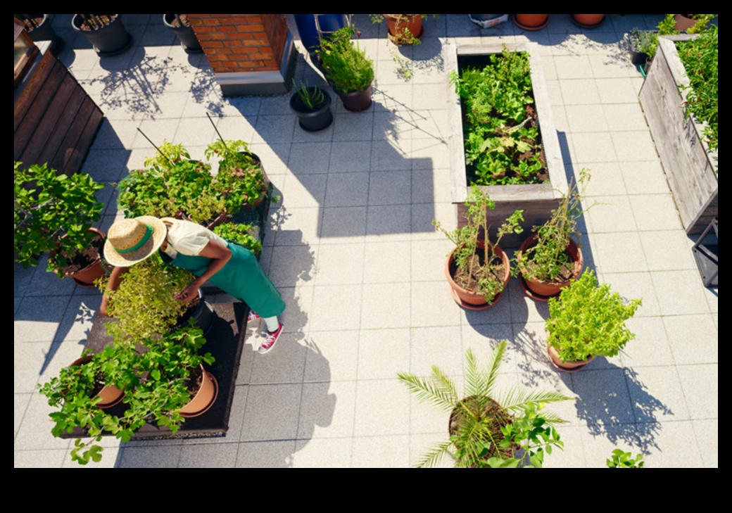 Petite Paradises: Small Spaces, Big Container Gardening Dreams