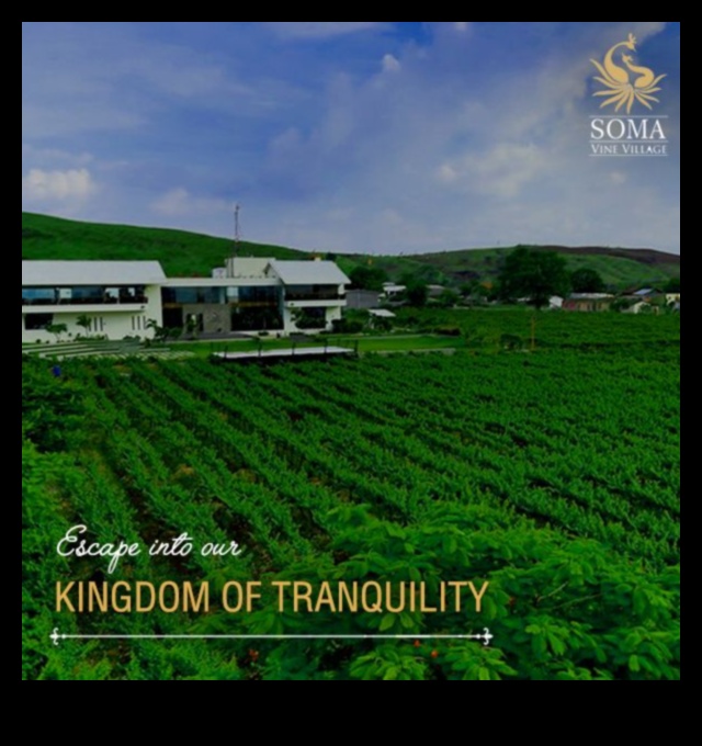 Village Charm: Picturesque Town and Countryside Views