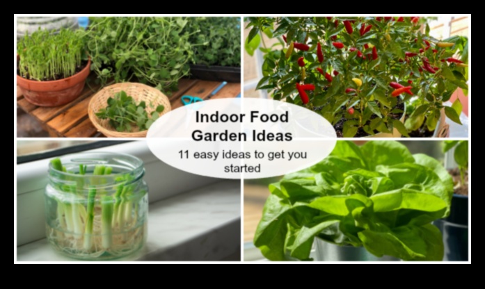 Pint-Sized Gardens A Guide to Growing Your Own Food Indoors 1
