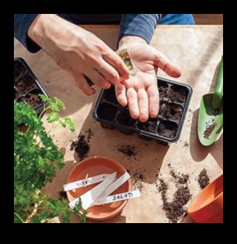 Pint-Sized Gardens A Guide to Growing Your Own Food Indoors 4 Pint-Sized Gardens: Unveiling the Marvels of Indoor Gardening