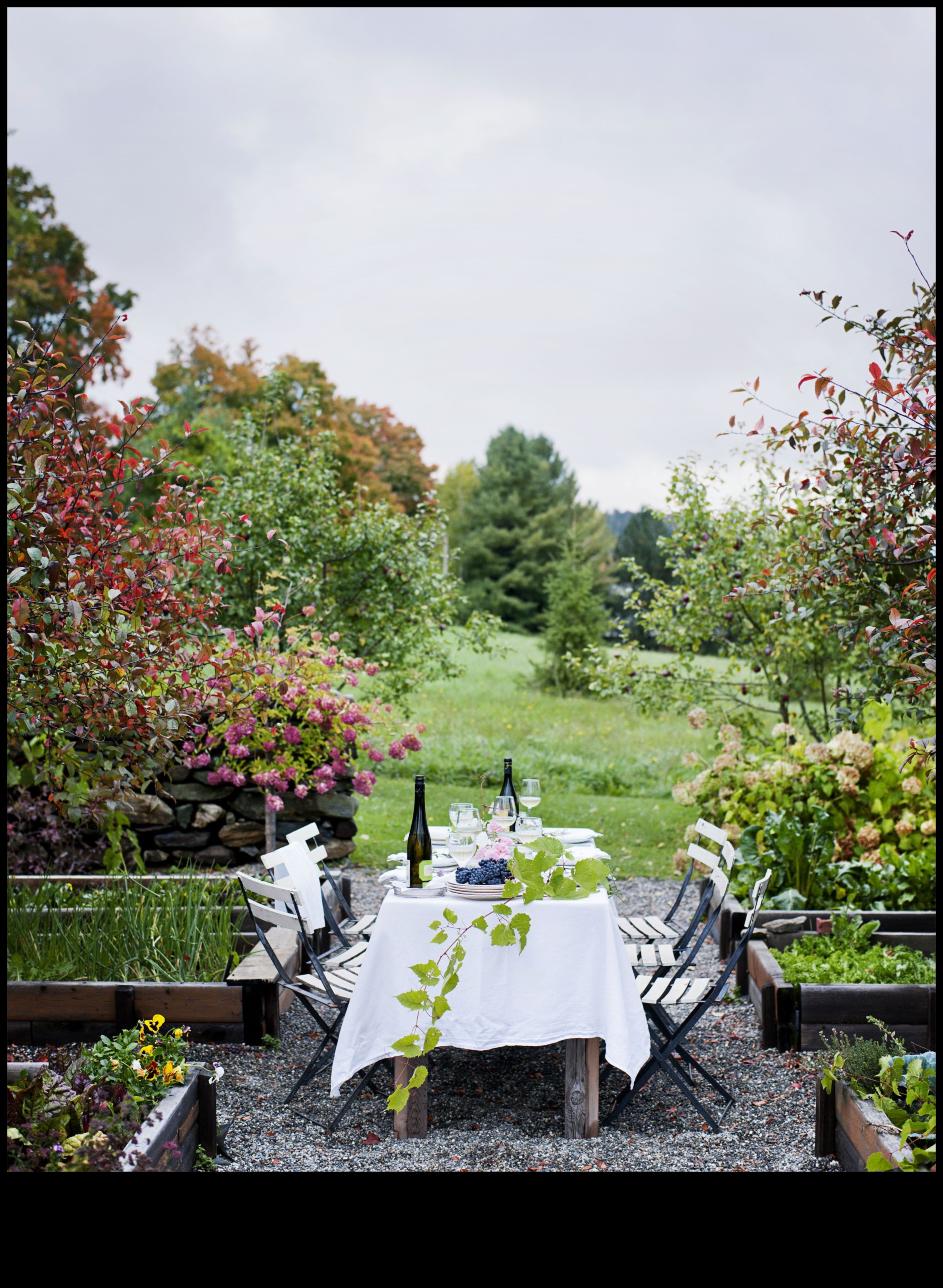 Pint-Sized Gardens Indoor Gardening Marvels UnveiledA Guide to Growing Beautiful Gardens in Small Spaces 5 Pint-Sized Gardens: Indoor Gardening Marvels Unveiled