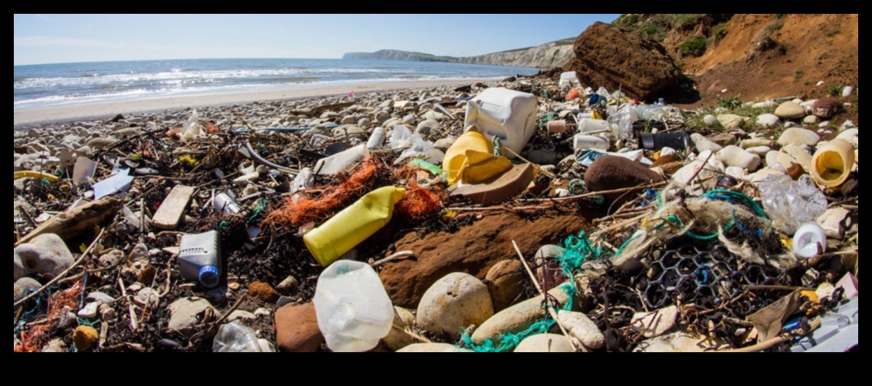 How are coastal landscapes adapting to the challenges of plastic pollution?