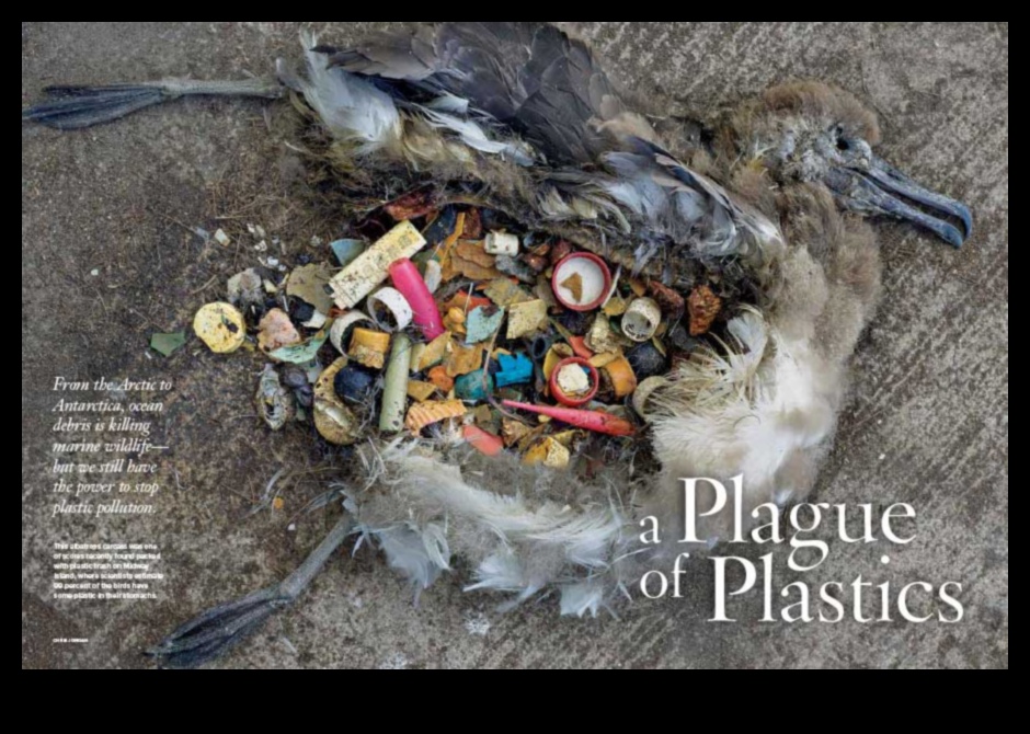 How are coastal landscapes adapting to the challenges of plastic pollution?