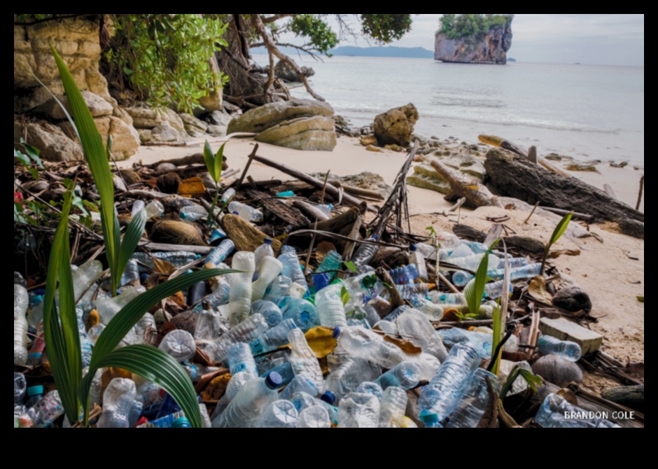 How are coastal landscapes adapting to the challenges of plastic pollution?