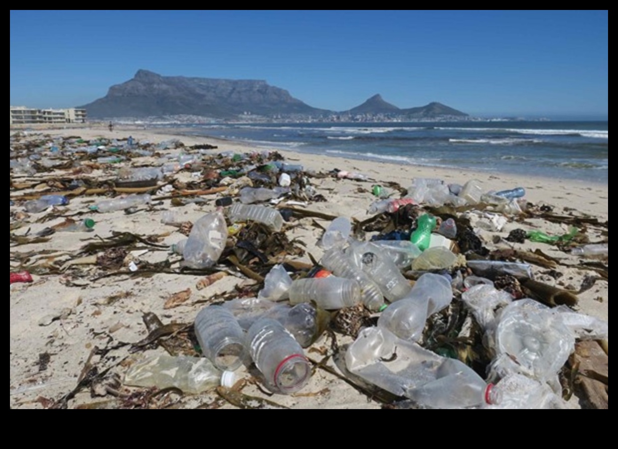 How are coastal landscapes adapting to the challenges of plastic pollution?