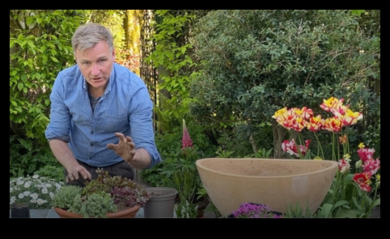 Pocket-Sized Eden The Joy and Benefits of Container Gardening 1